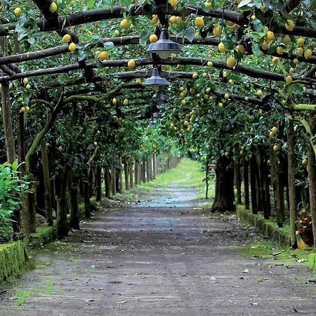 Agriturismo Il Convento Villa Massa Lubrense Eksteriør bilde