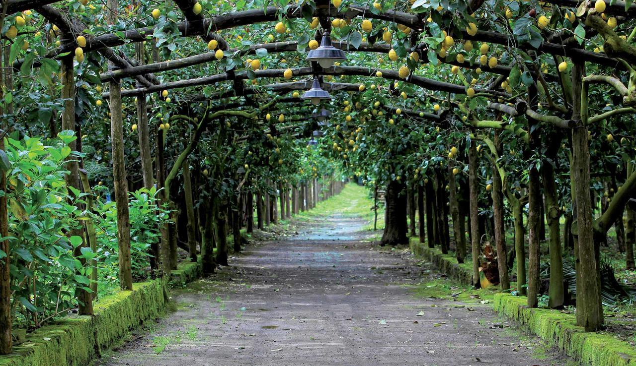 Agriturismo Il Convento Villa Massa Lubrense Eksteriør bilde